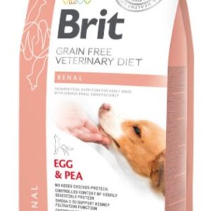 BRIT VETERINARY DOG RENAL 2KG