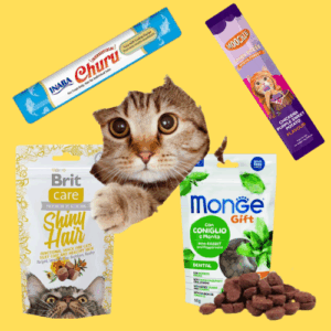 Snacks