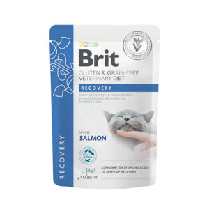 BRIT GF VET DIETS CAT POUCH RECOVERY 85GR